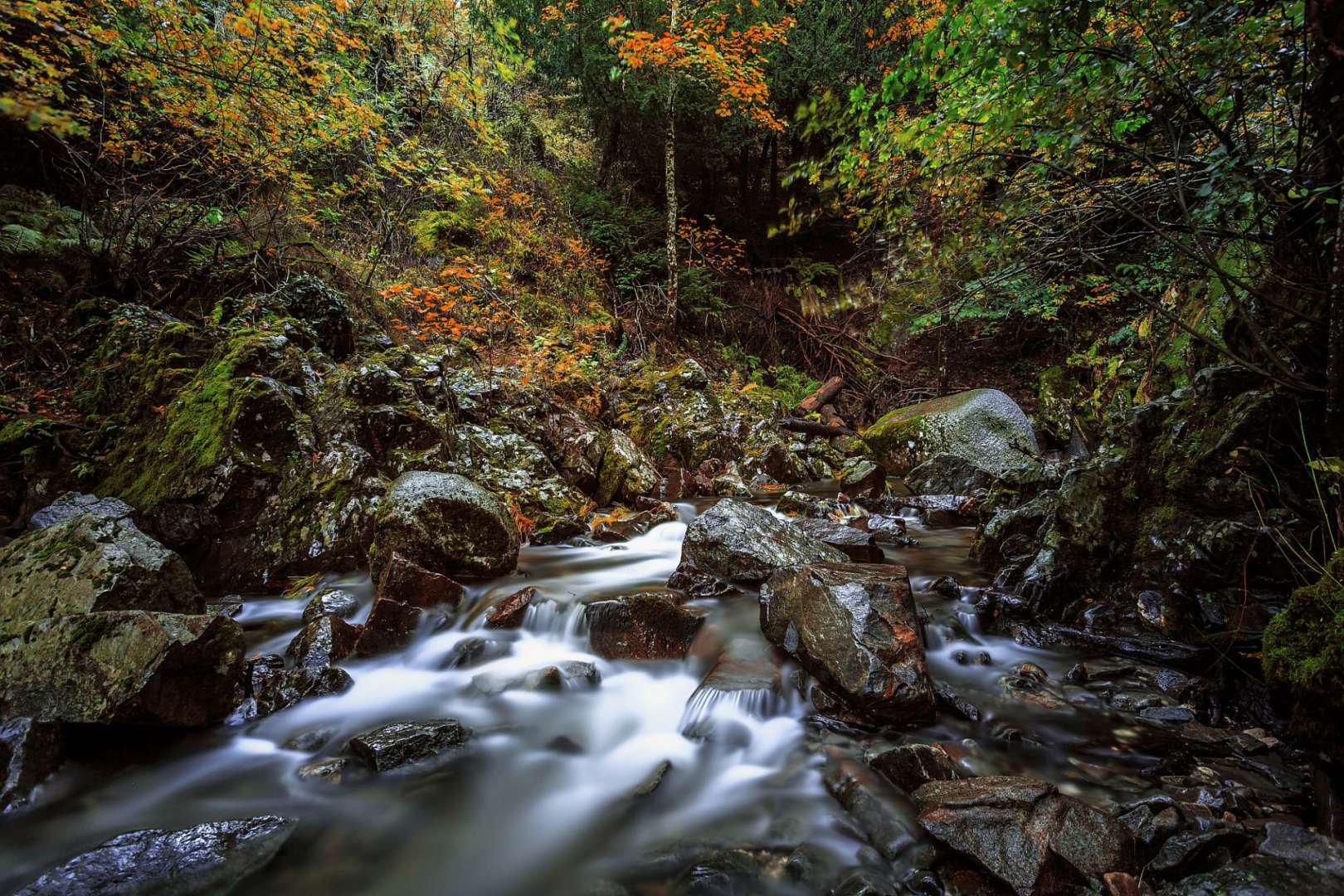 Tiefe Schluchten, klare Bäche: Serra da Estrela