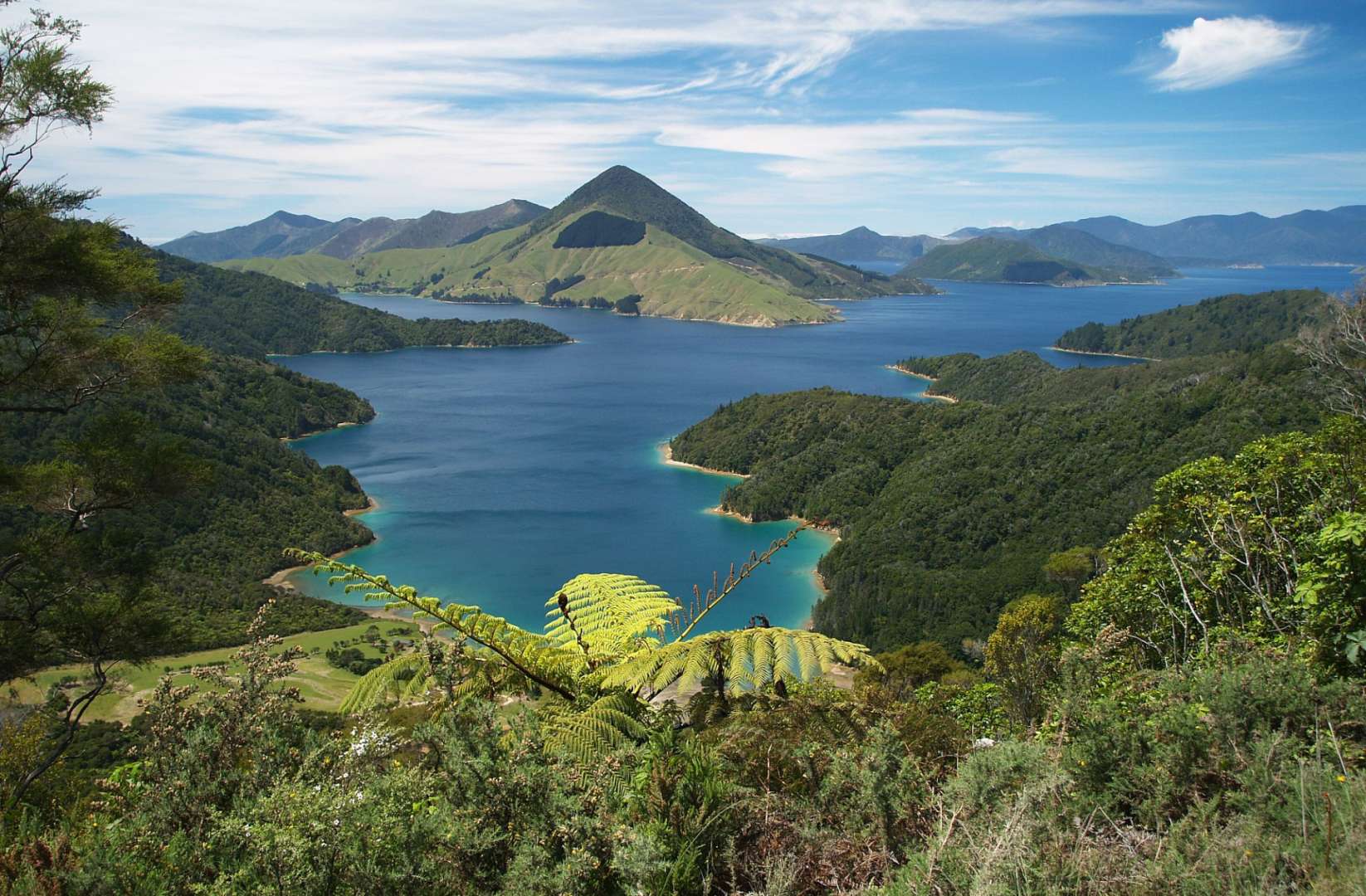 Ertrunkenes Flusssystem: Marlborough Sounds