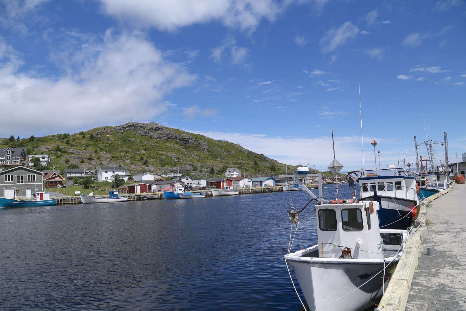 Paradies für Seevögel: Halbinsel Avalon