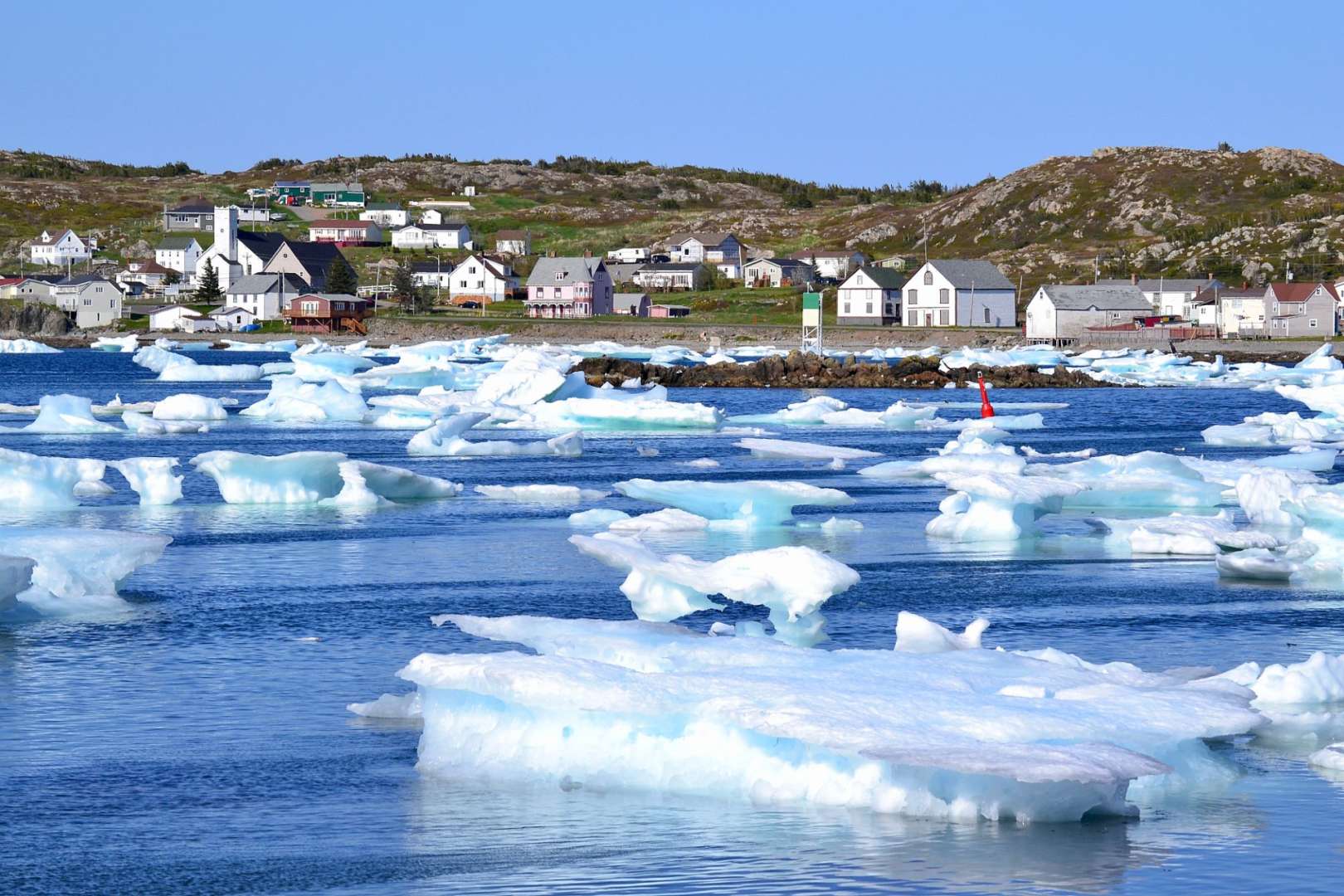 Iceberg City: Twillingate