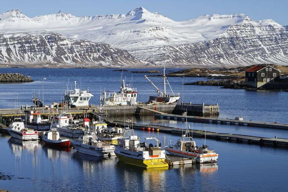 Heringsflotte in den Ostfjorden
