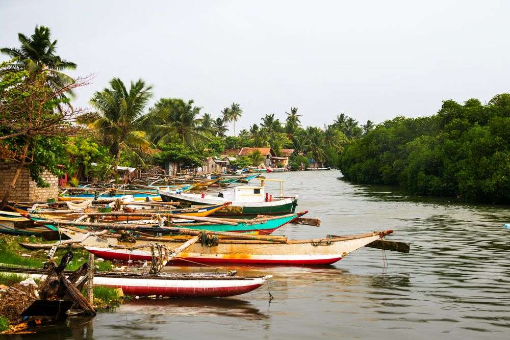 Traditionelle Boote: Negombo