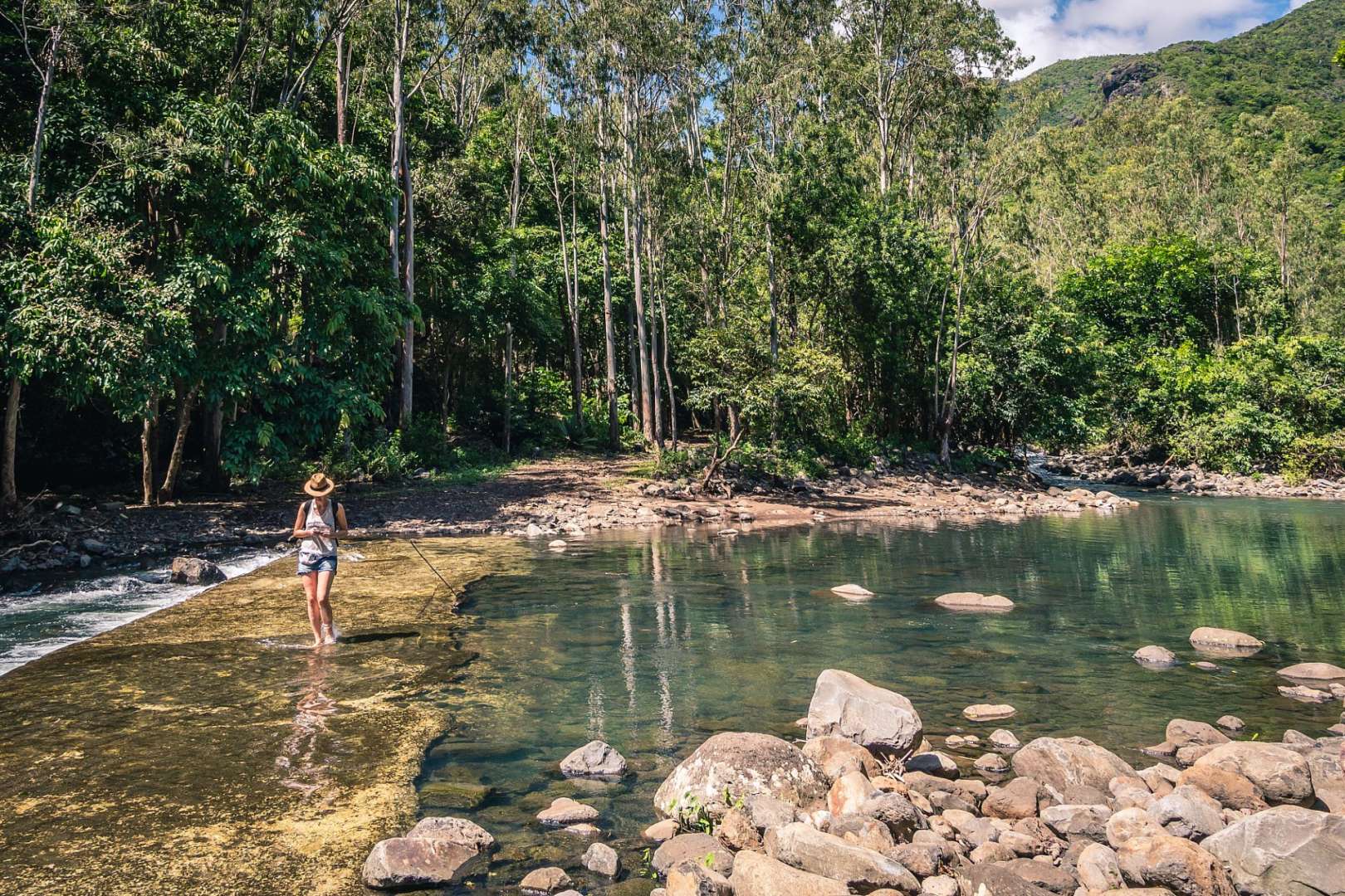 Letzte zusammenhängende Regenwälder: Black River Gorge Park