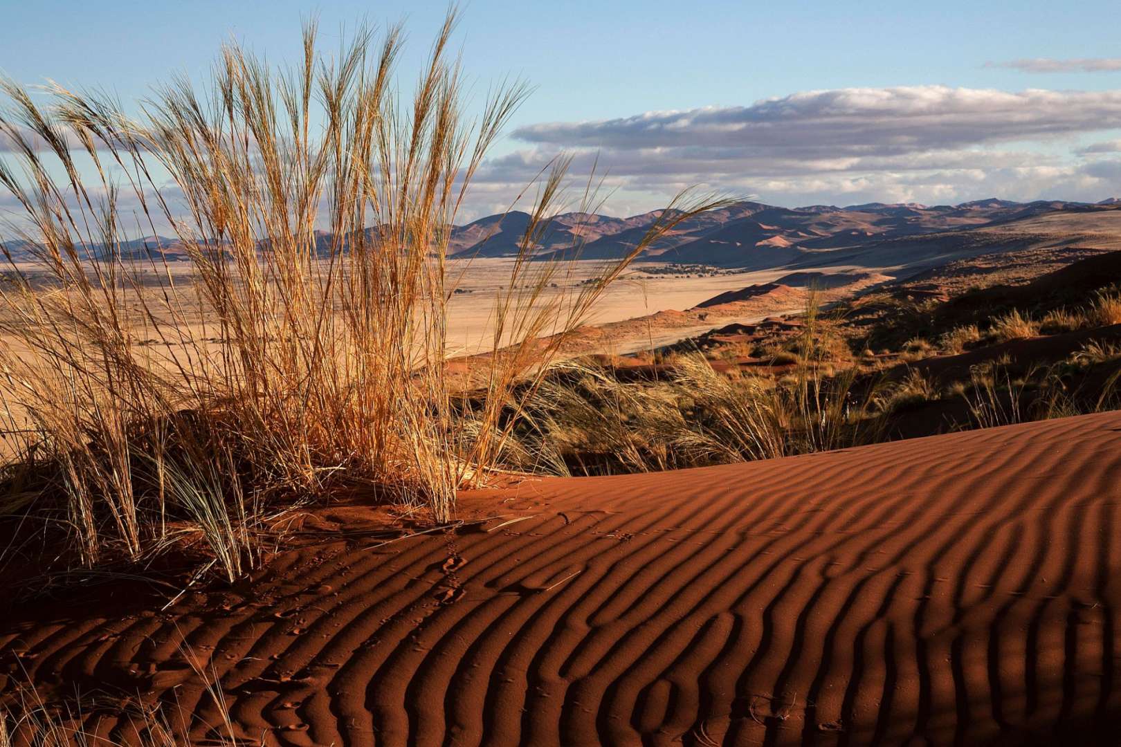 Größter Nationalpark der Erde: Namib-Naukluft