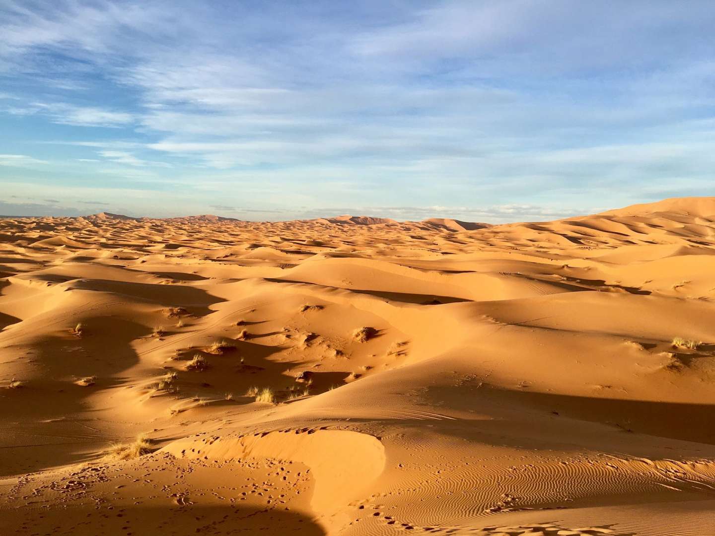 26mal so groß wie Deutschland: Sahara