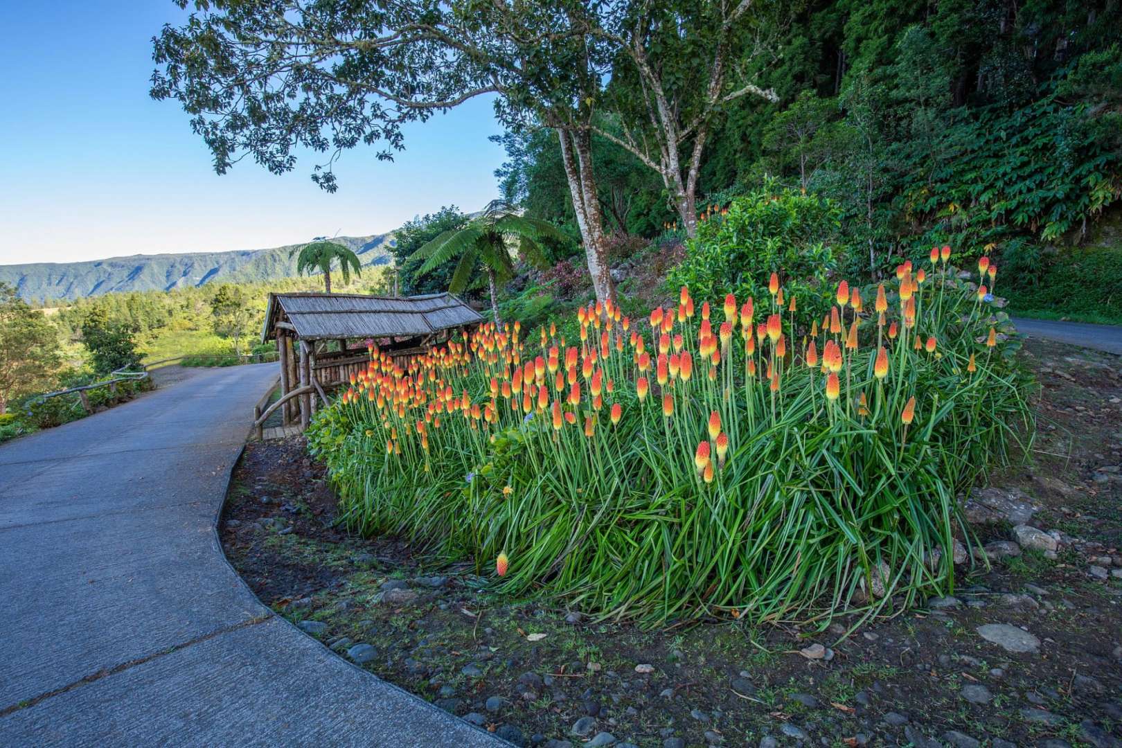 In Schleifen gewunden: Weg nach Les Makes