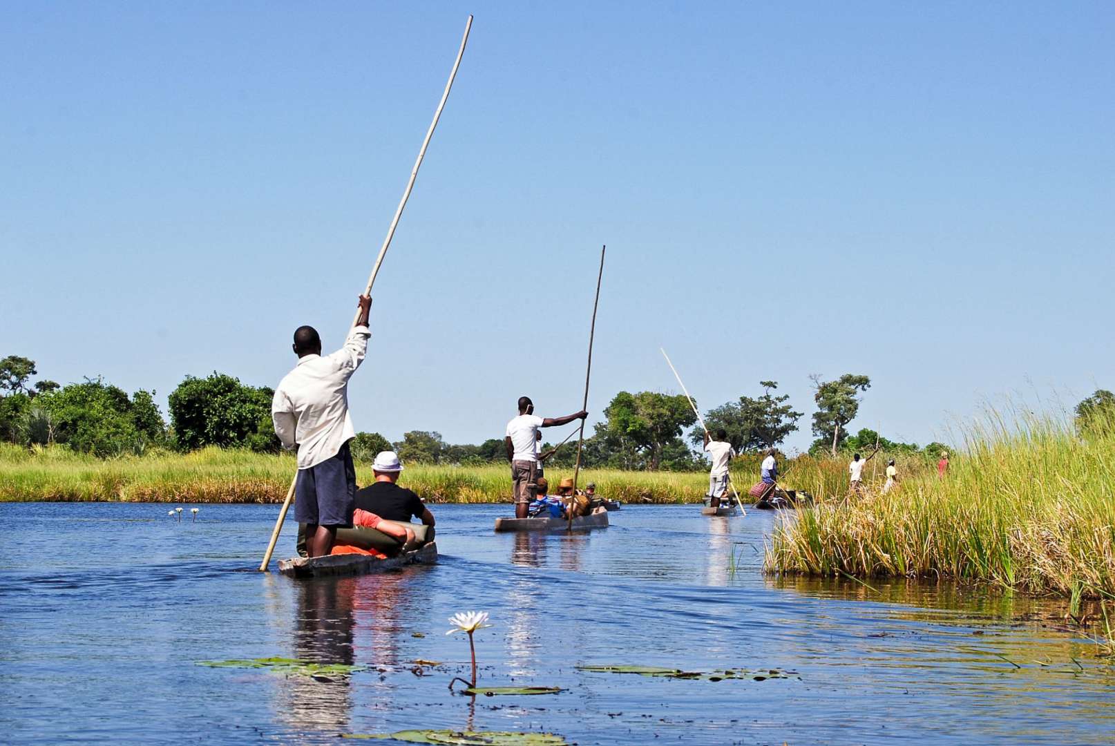 Im Einboot durch die Wildnis: Okavango Delta