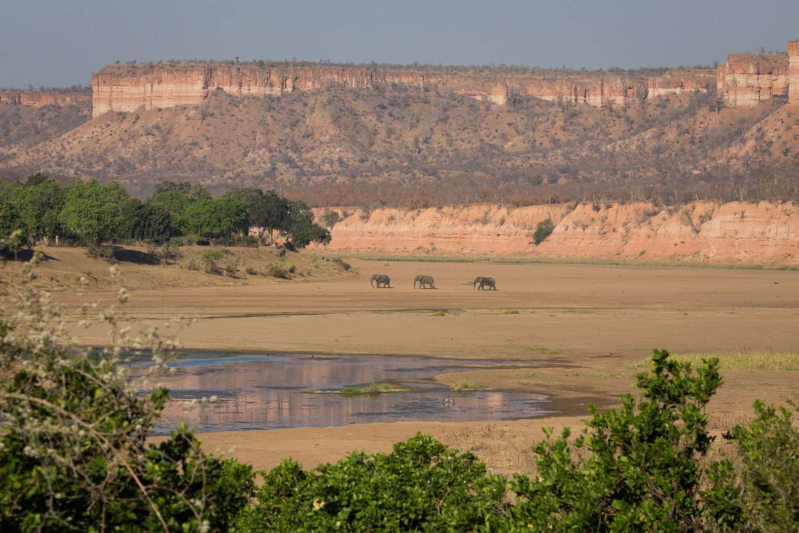 Im Dreiländereck gelegen: Gonarezhou National Park