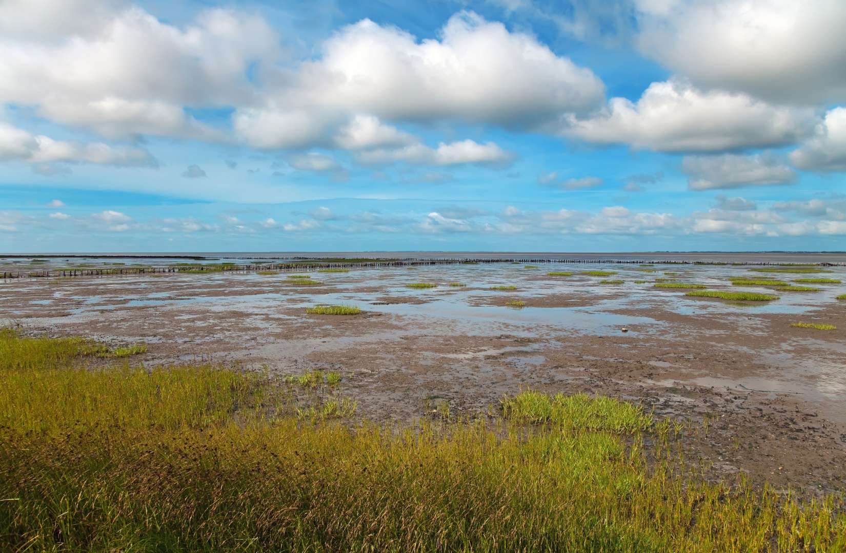 Nationalpark Wattenmeer