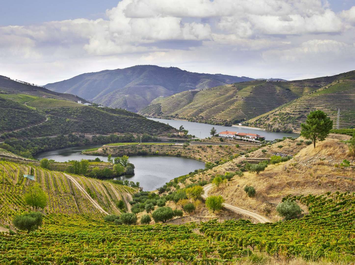 Uralte Weinregion: Douro-Tal