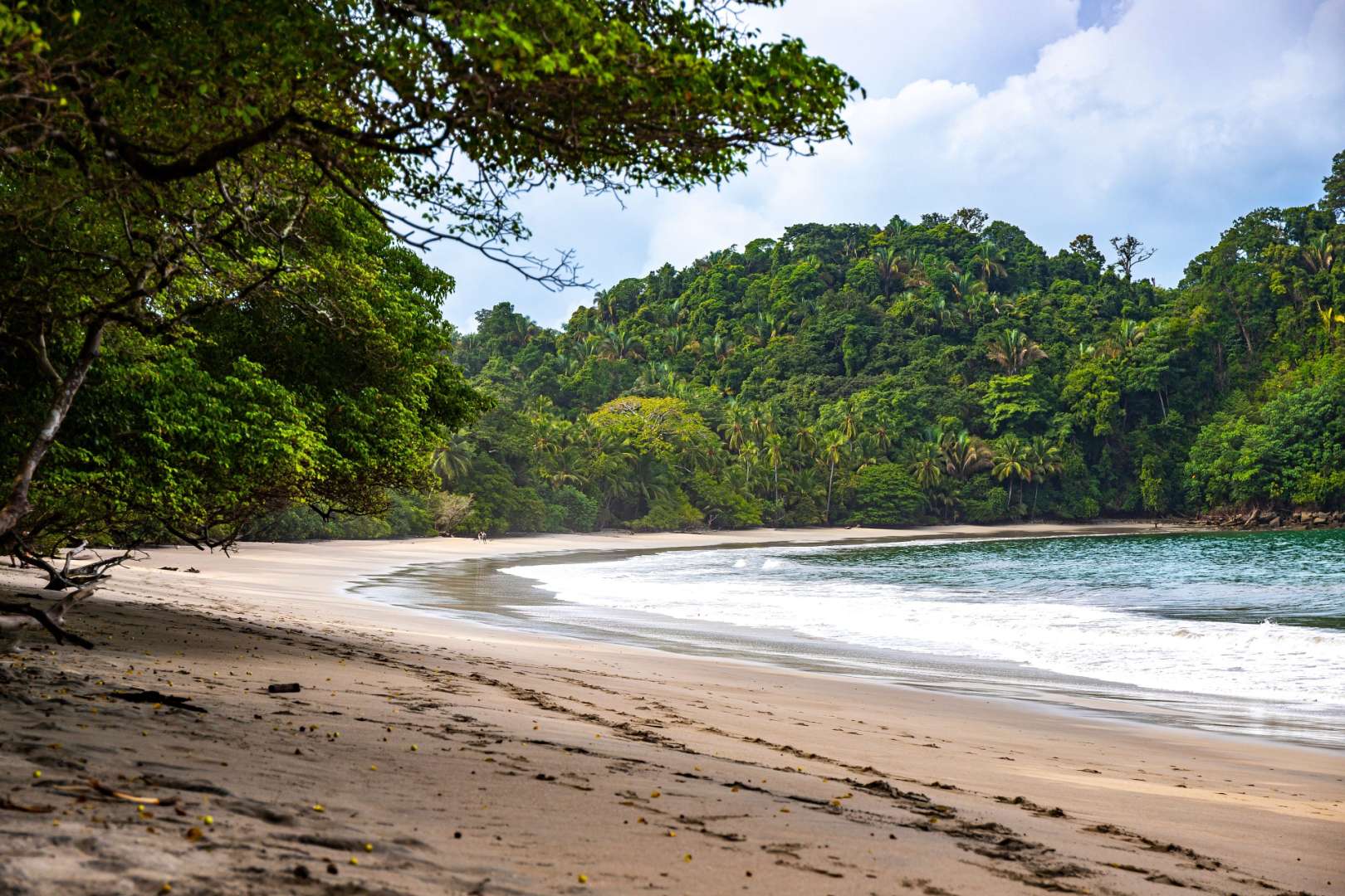 Fantastische Artenvielfalt: Manuel Antonio Nationalpark