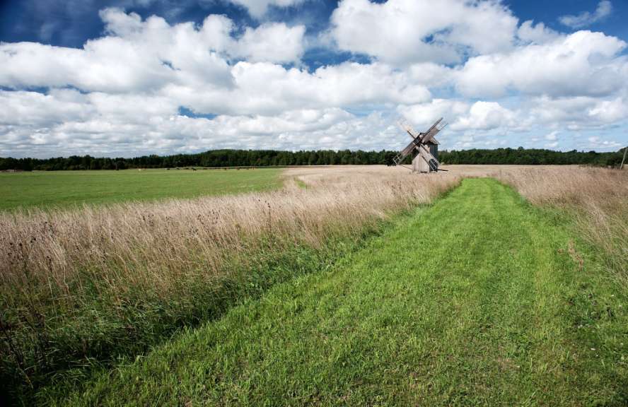 Moore, Wälder, einsame Küsten: Hiiumaa