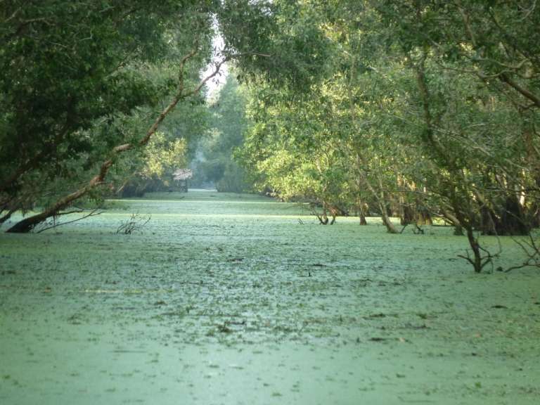 Magische Stimmung: National Park Tra Su