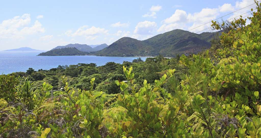 Tolle Ausblicke, große Artenvielfalt: Fond Ferdinand Park