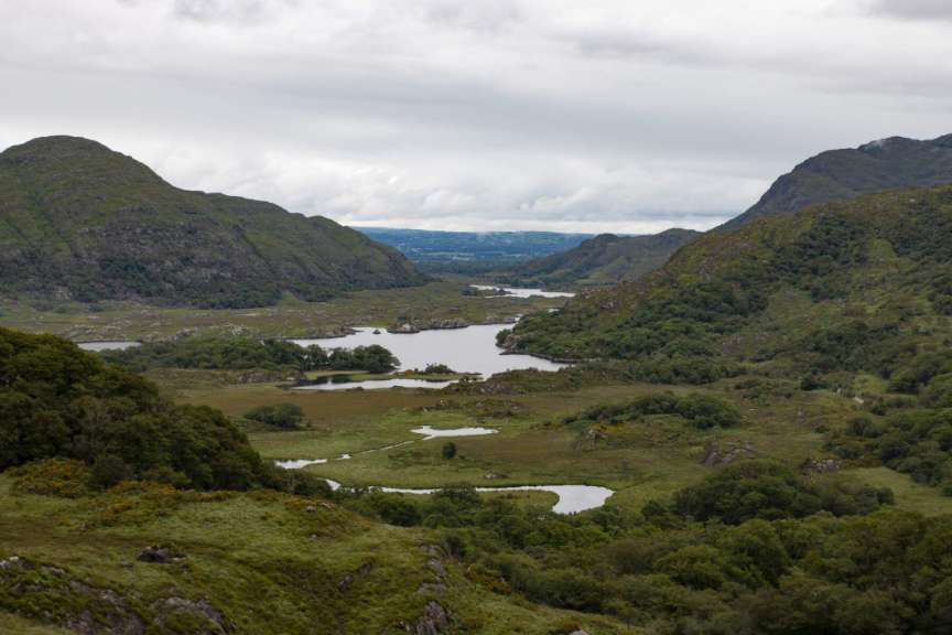 Aussicht über den Killarney Park: Ladies' View