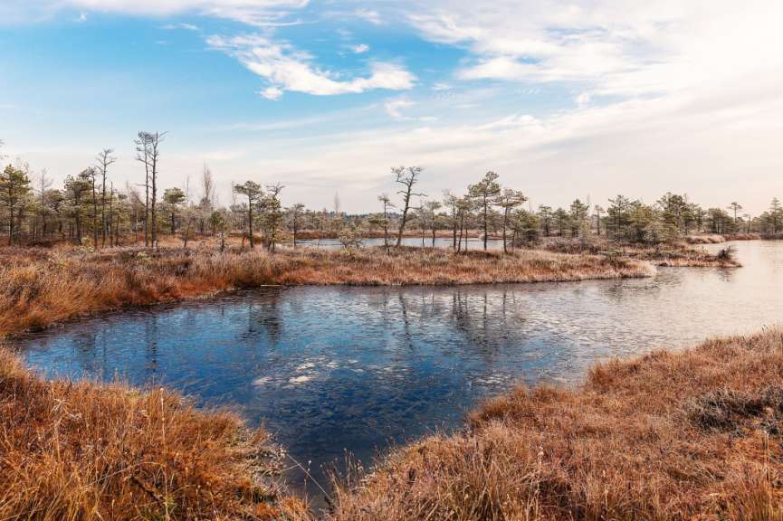 Küstennahe Sümpfe: Nationalpark Kemeri