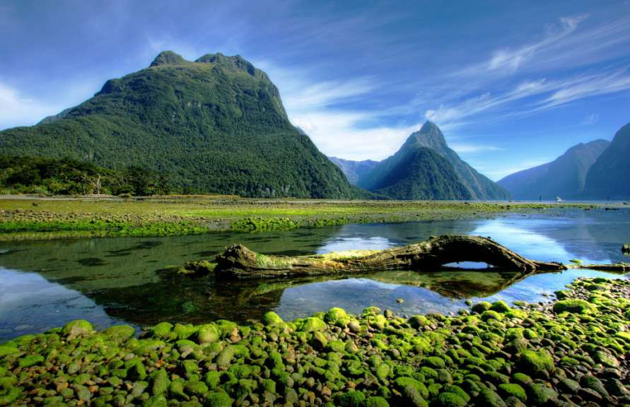 Gewaltige Urlandschaft: Milford Sound in den Fjordlands
