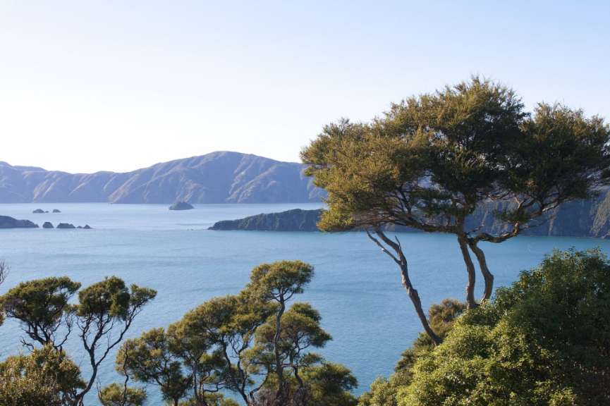 Zauberhafte Wasserlandschaft: Queen Charlotte Sound