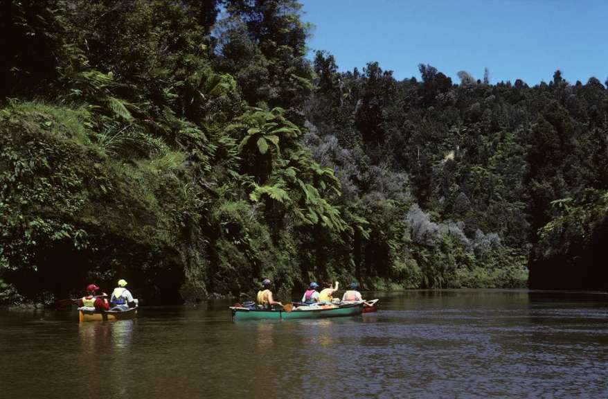Eldorado für Kanuten: Whanganui River im Nationalpark