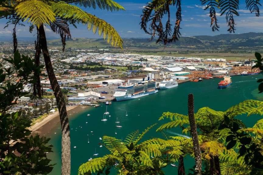 Blick auf den Hafen: Tauranga