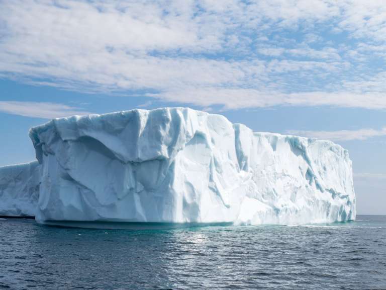 Eisberge vor St. Anthony