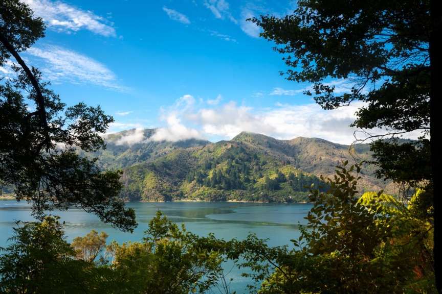 Neuseeland aus dem Bilderbuch: Queen Charlotte Track