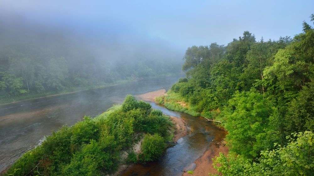 Dichte Wälder: An der Gauja bei Cesis