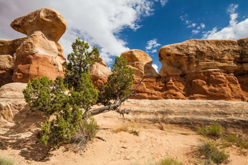 An der Hole in the Rock Road: Devil's Garden