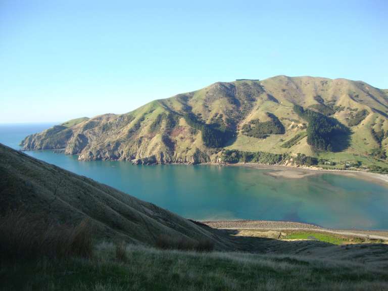 Kahlgefressen und renaturiert: Pepin Island