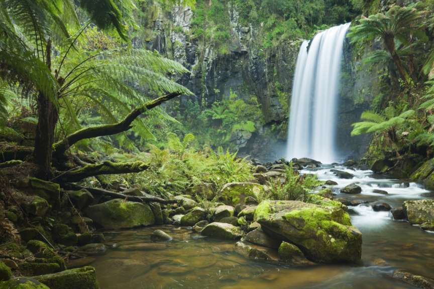 Hopetoun Falls im Great Otway National Park