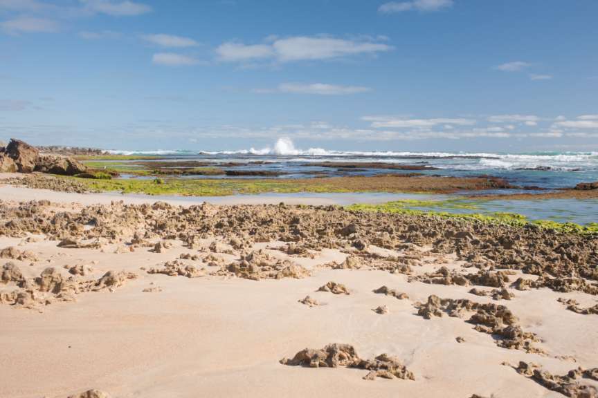 Stoney Rise Strand, Little Dip Conservation Park
