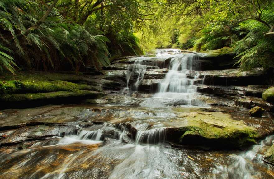 Guter Platz für ein Picknick: Leura Cascades