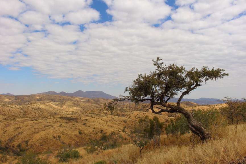 Naturreservat um den Gamsberg