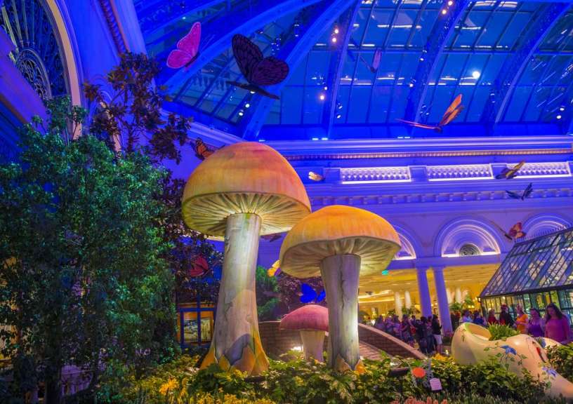 Künstlicher Garten: Bellagio Conservatory