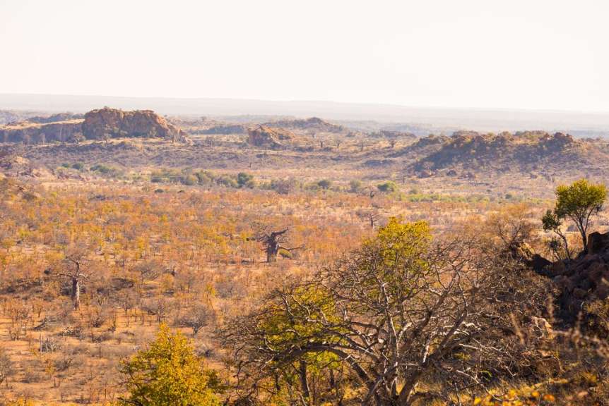 Landschaft um Mapungubwe