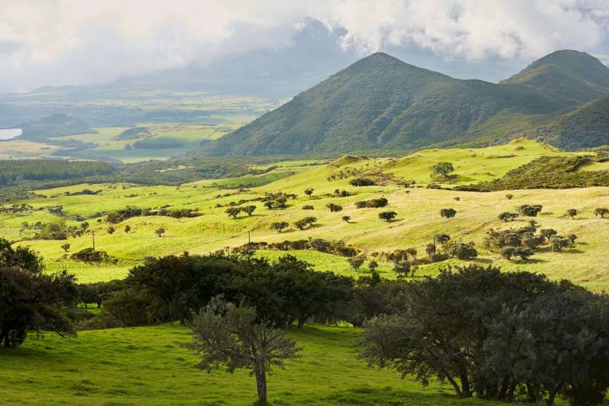 Abwechslungsreich: La Plaine de Cafres