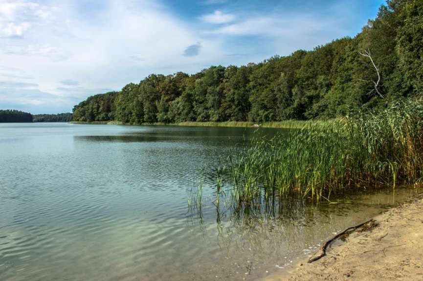 Eiszeitliche Seen: Wielkopolski Nationalpark