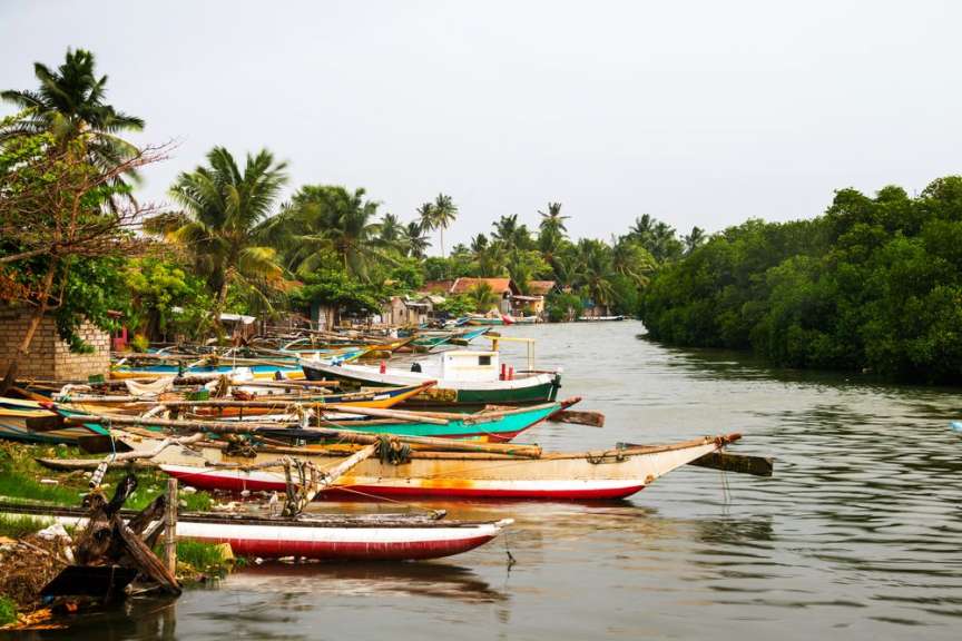 Traditionelle Boote: Negombo
