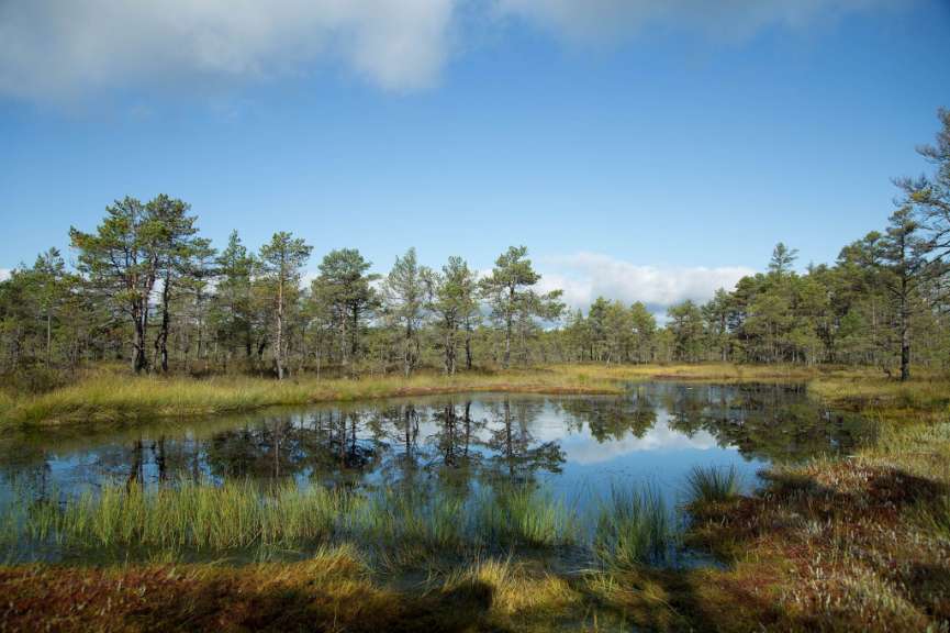 Lahemaa Nationalpark – Rahvuspark