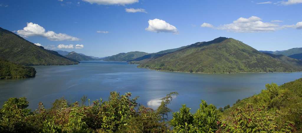 Aussicht auf den Pelorus Sound: Cullen Point