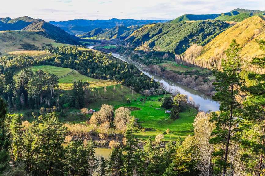 Neuseeländische Bilderbuchlandschaft: Whanganui River