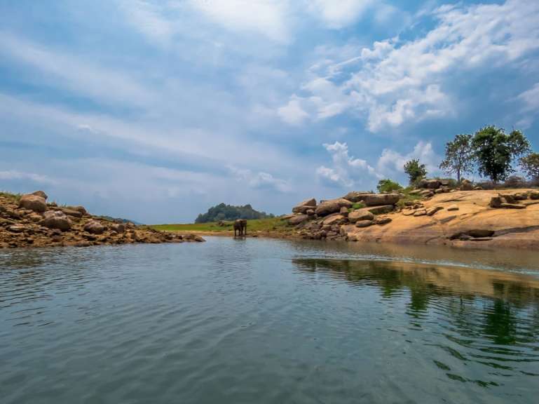 Bootsafari in Gal Oya