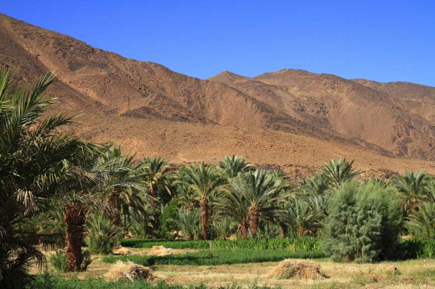 Marokko aus dem Bilderbuch: Draa-Tal