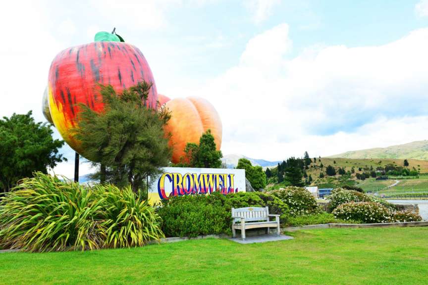 Obst- und Weinbauort: Cromwell