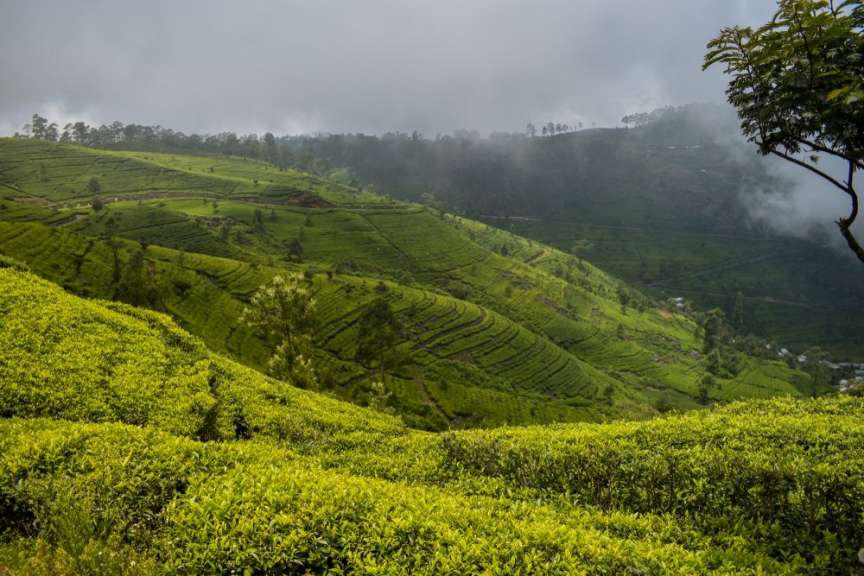 Lieblingsplatz von Sir Lipton: Lipton's Seat