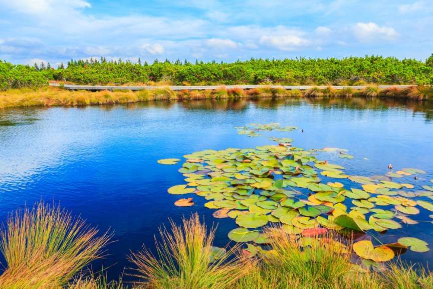 Auf Holzplanken durch ein Feuchtgebiet: am See von Lovrenc