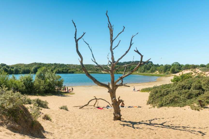 Nationalpark an der Küste: Zuid-Kennemerland