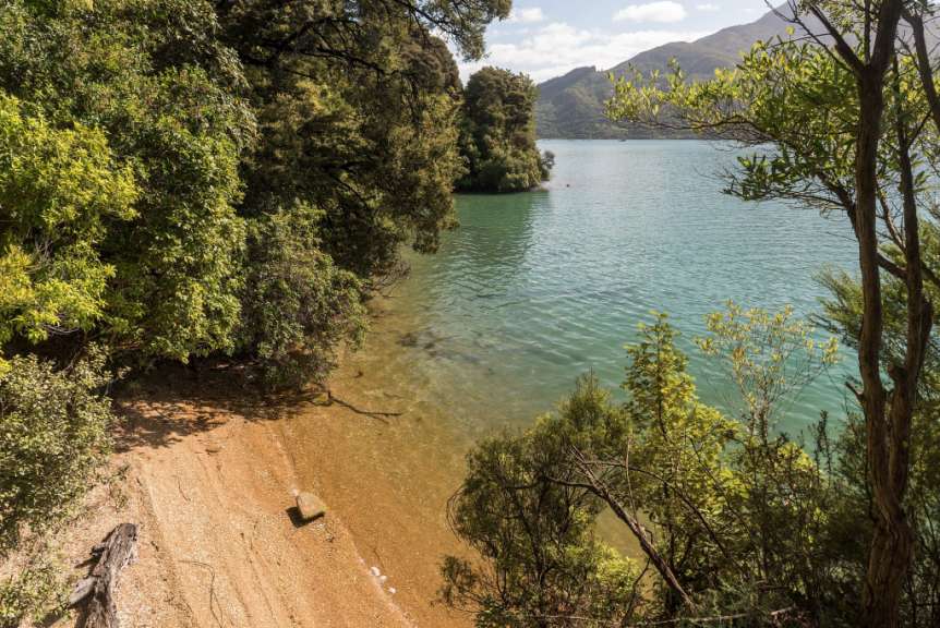 Flach und verlandet: Kenepuru Sound