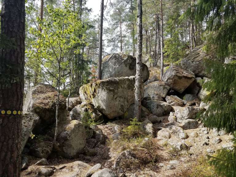 Trolle, Sümpfe und Felsbrocken: Wanderung durch Tiveden
