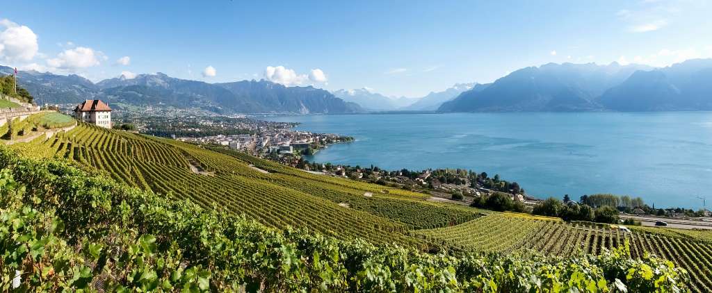 Blick auf den See und die Alpen: Wanderung durch Lavaux